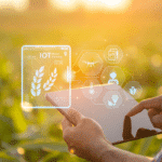 12 Innovations in Mobile Data Collection Technology for Fieldwork