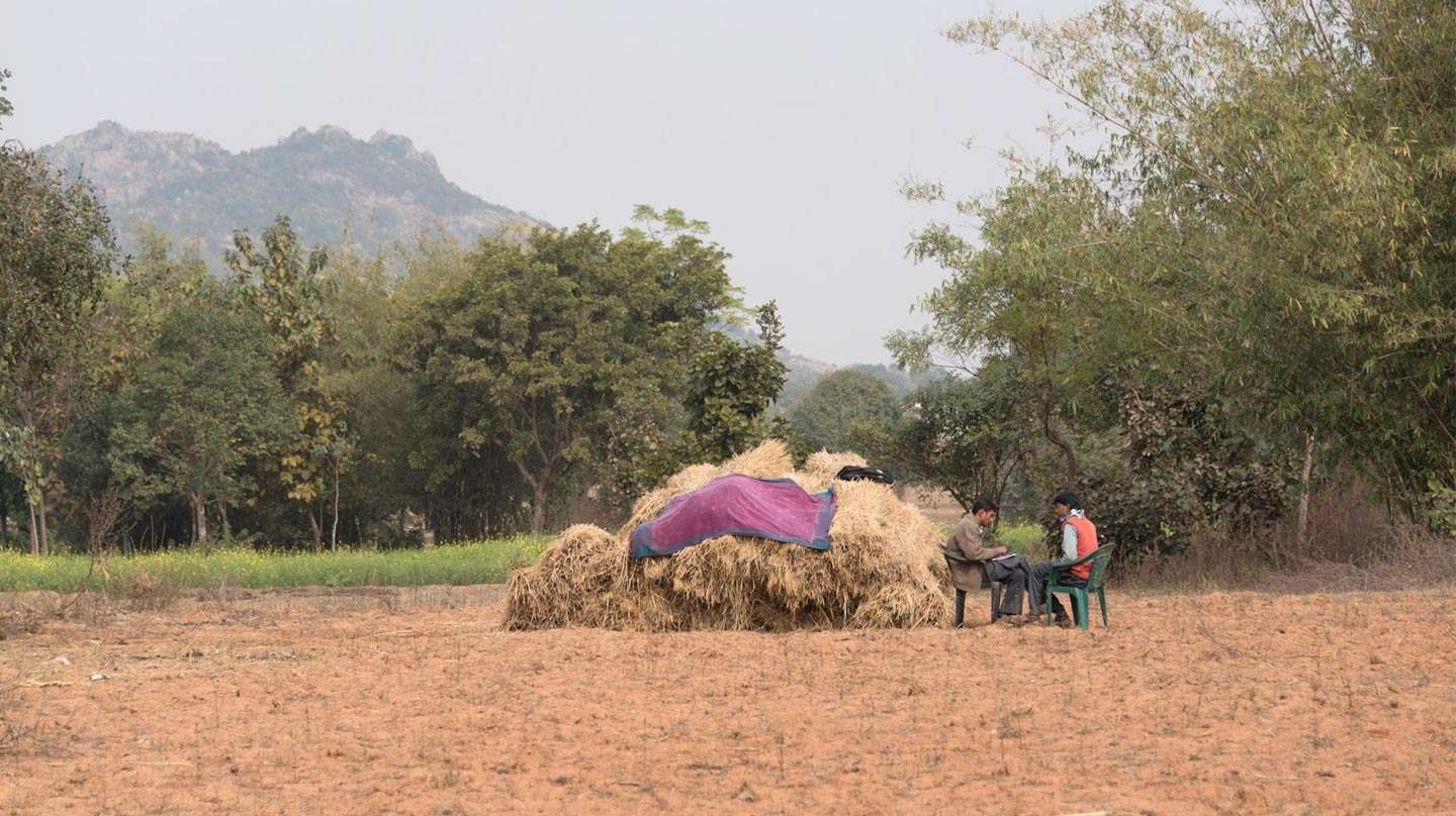 You are currently viewing Diets, choices, and interdisciplinary research in South Asia