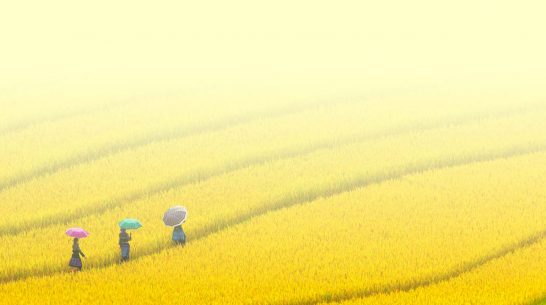 SurveyCTO webinar: Principle-driven innovation