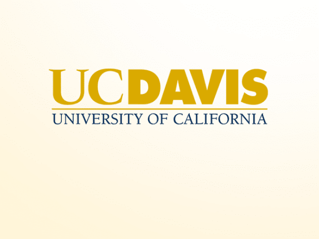 Academic researcher