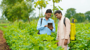 Two men in a field look at a mobile device.