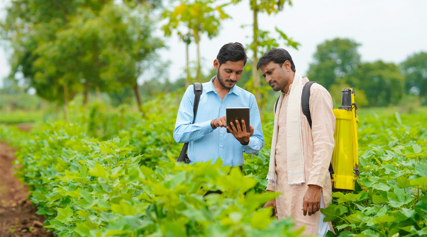 Two men in a field look at a mobile device.