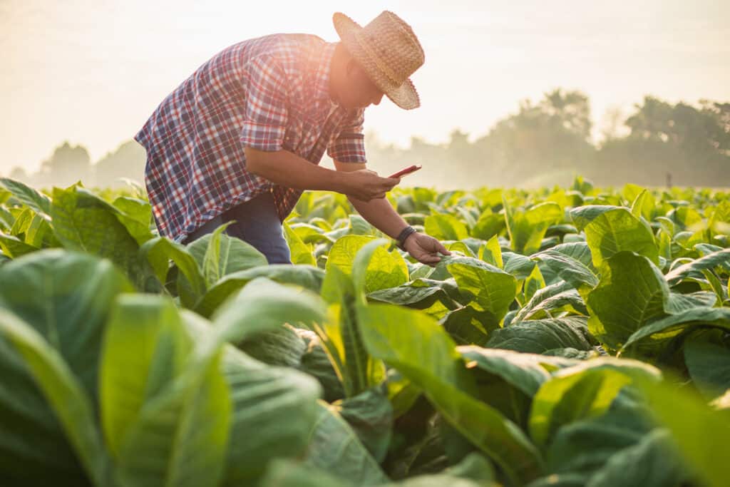 SurveyCTO data quality features ensure you collect only reliable data.