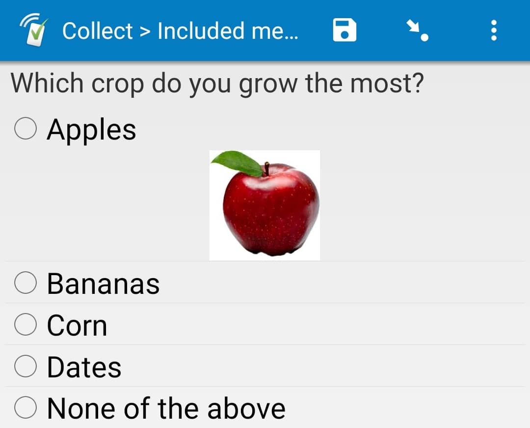 Apple_with_image.jpg